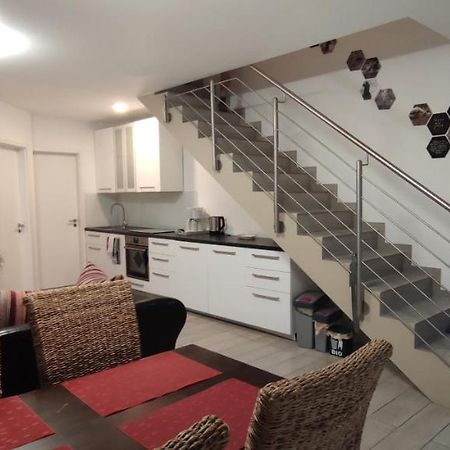 Pferdeparadies Calm River Ranch فيديمارك المظهر الخارجي الصورة