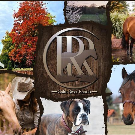 Pferdeparadies Calm River Ranch فيديمارك المظهر الخارجي الصورة