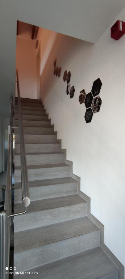 Pferdeparadies Calm River Ranch فيديمارك المظهر الخارجي الصورة