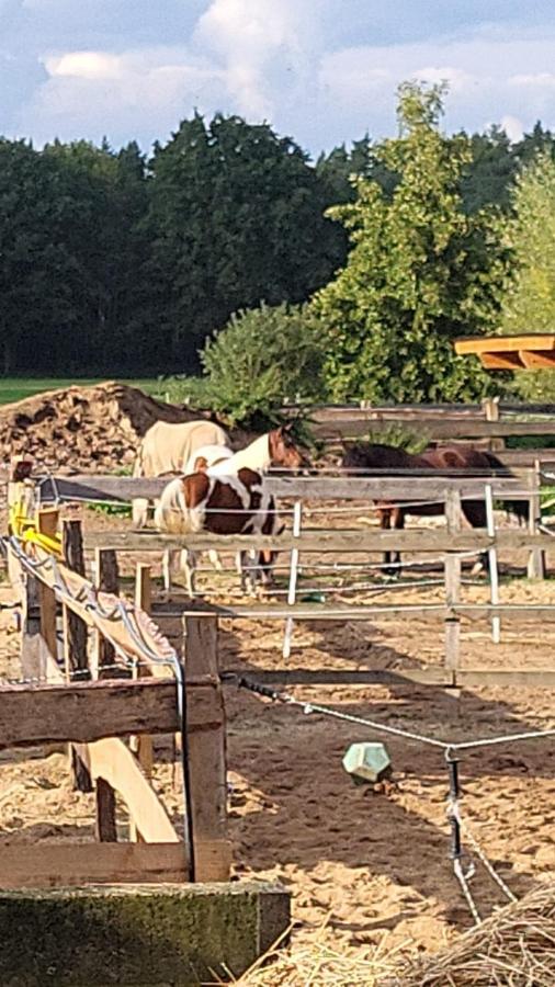 Pferdeparadies Calm River Ranch فيديمارك المظهر الخارجي الصورة