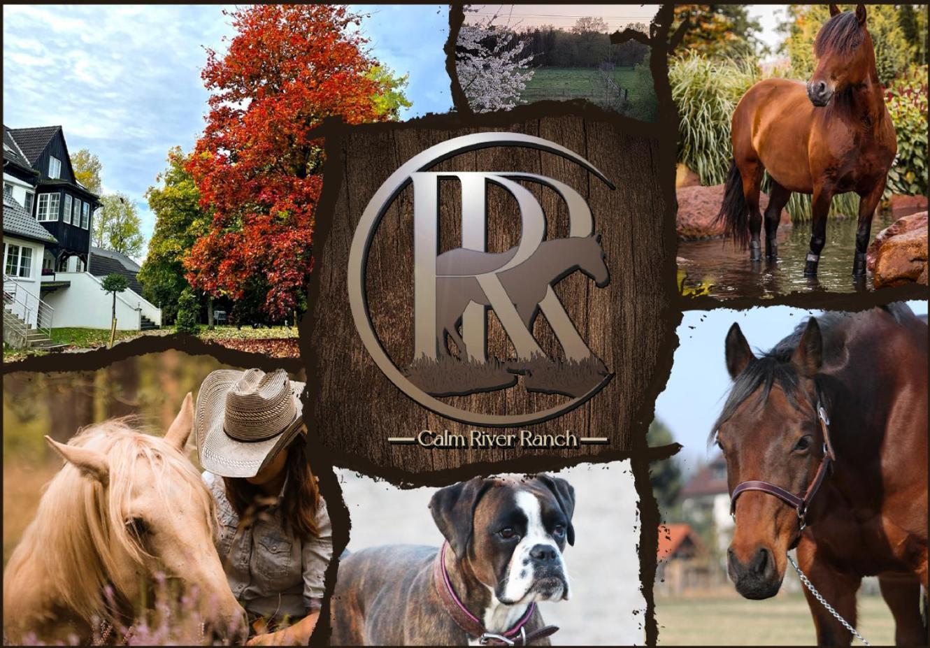 Pferdeparadies Calm River Ranch فيديمارك المظهر الخارجي الصورة
